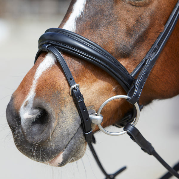Kieffer Sylvie Snaffle Bridle