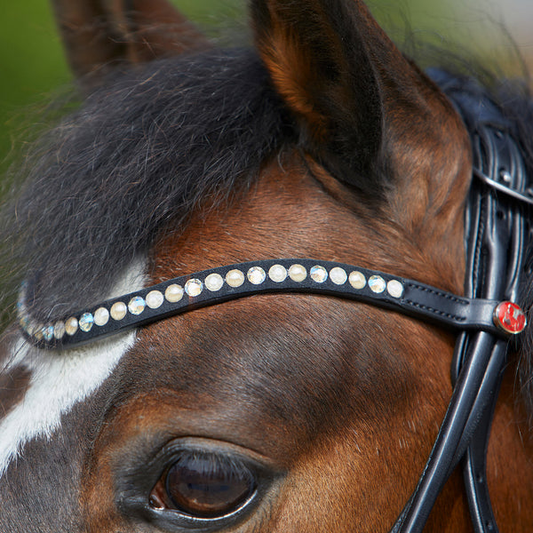 Kieffer Sylvie Snaffle Bridle