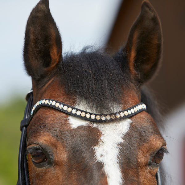 Kieffer Sylvie Snaffle Bridle