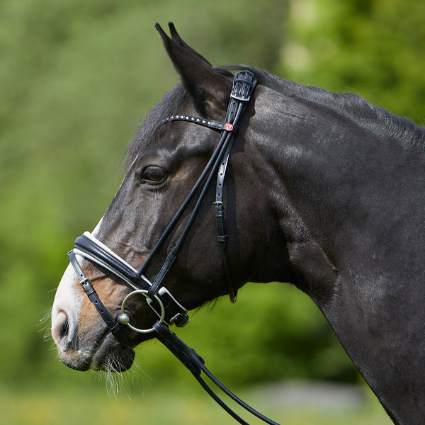 Kieffer Sylvie Snaffle Bridle
