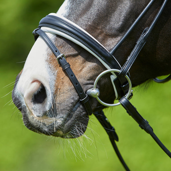 Kieffer Sylvie Snaffle Bridle