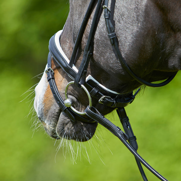 Kieffer Sylvie Snaffle Bridle