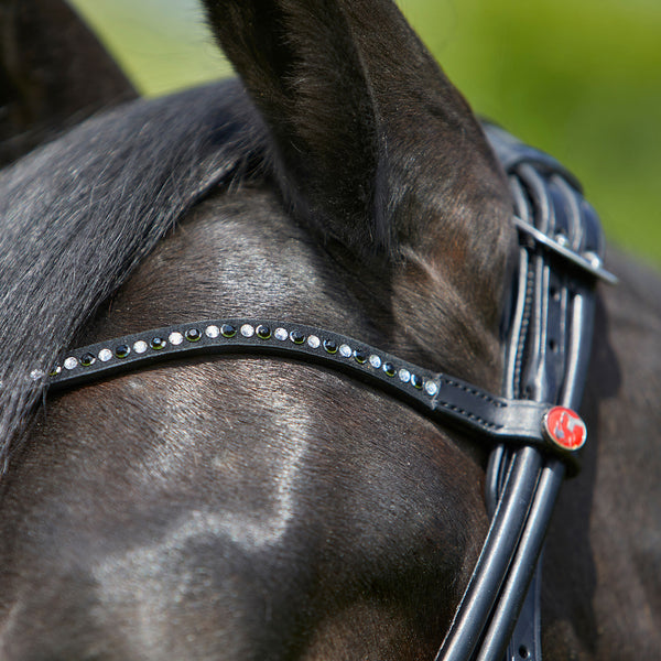 Kieffer Sylvie Snaffle Bridle
