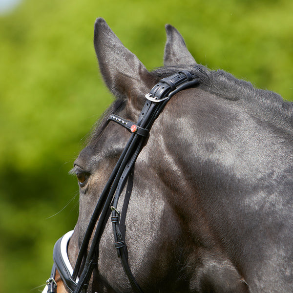 Kieffer Sylvie Snaffle Bridle