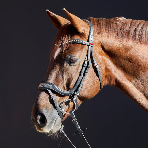 Kieffer Softtech® Line Anouk Snaffle Bridle