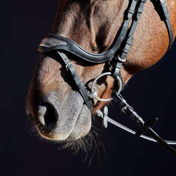 Kieffer Softtech® Line Anouk Snaffle Bridle