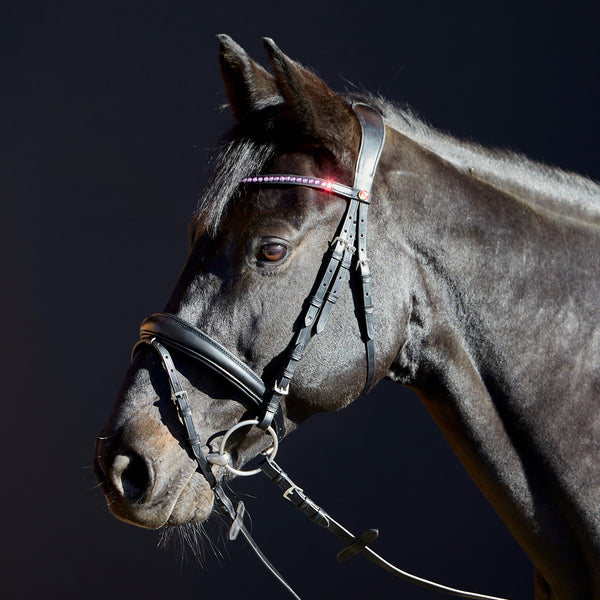 Kieffer Priya Snaffle Bridle