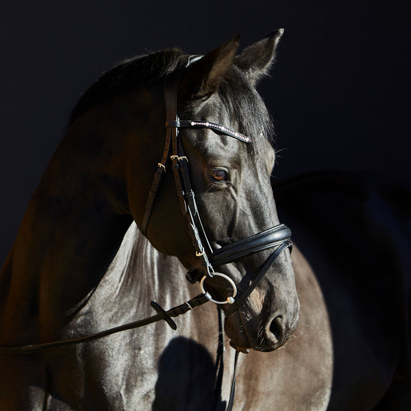 Kieffer Priya Snaffle Bridle