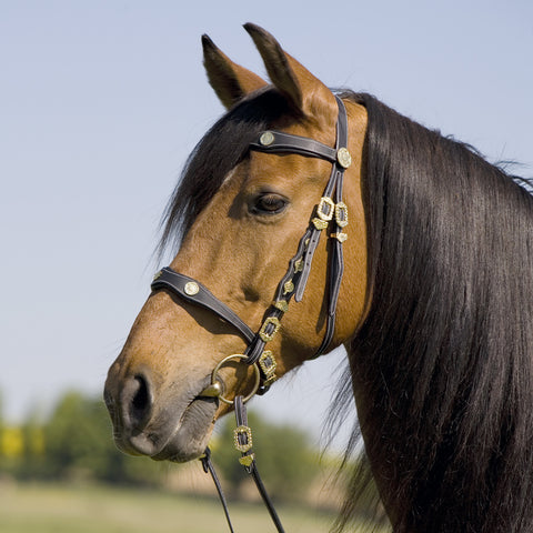 Kieffer Isabella Unique Baroque Snaffle Bridle