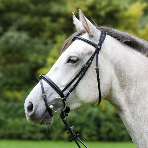 Kieffer Anja Beran Snaffle Bridle
