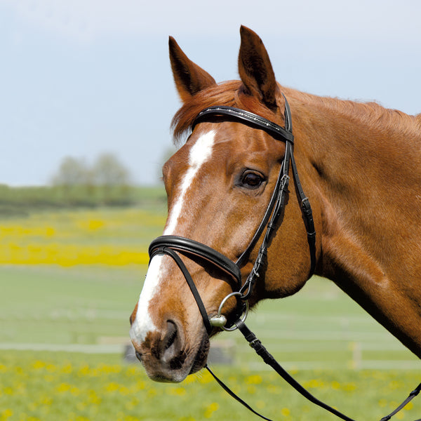 Comfort Luxe Metal Wave Crystal Diamante Bridles