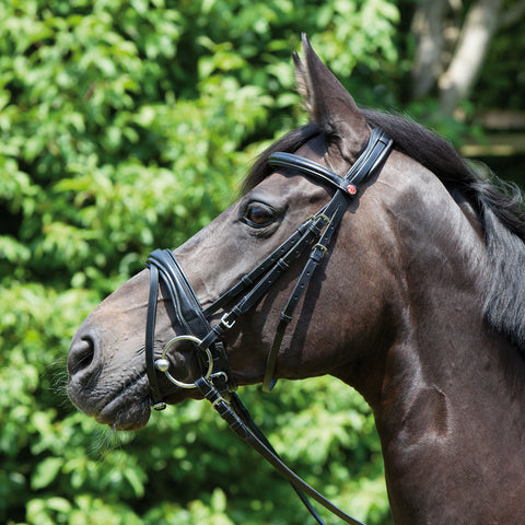 Kieffer Perseus Snaffle Bridle