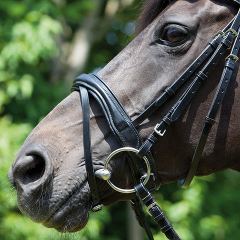 Kieffer Perseus Snaffle Bridle Crank flash, raised leather browband