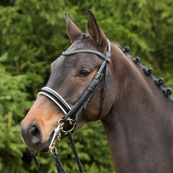 Kieffer Paris Double Bridle