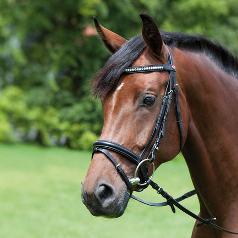 Kieffer Magic Tack Single Row Stone Snaffle Bridle