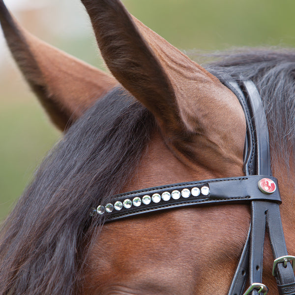 Kieffer Magic Tack Single Row Stone Snaffle Bridle