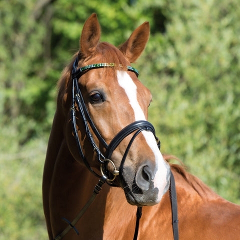Kieffer Magic Tack Two Row Snaffle Bridle