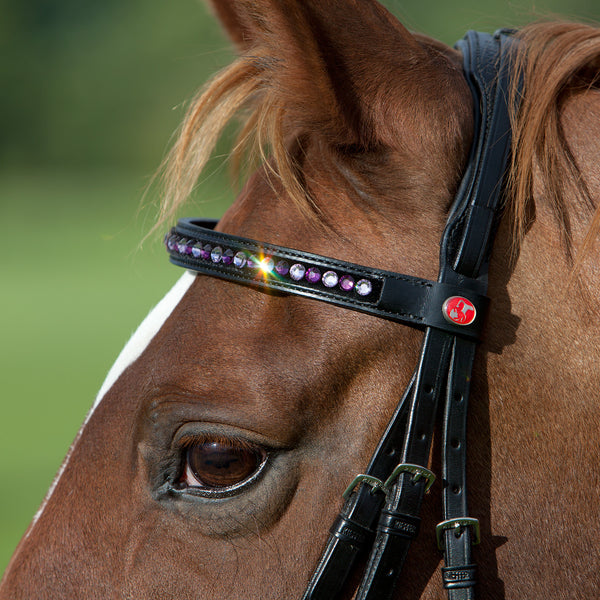 Kieffer Magic Tack Single Row Double Bridle