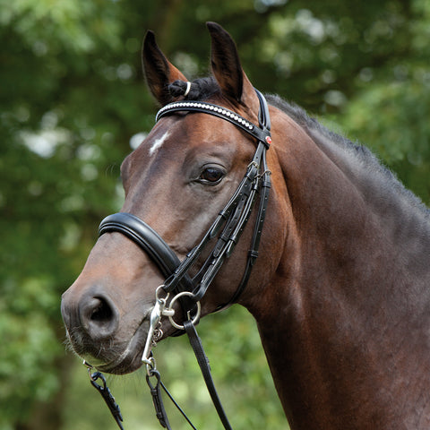 Kieffer Magic Tack Single Row Double Bridle