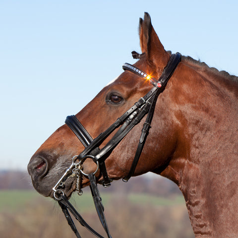 Kieffer Magic Tack Swarovski Crystal Double Bridle