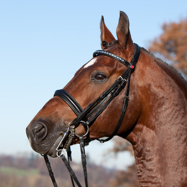 Kieffer Magic Tack Wave Double Bridle