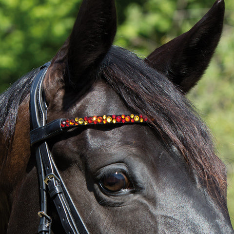 Kieffer Magic Tack Wave Double Bridle