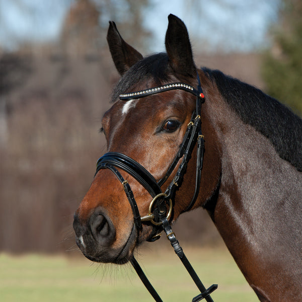Kieffer Comfort Paris Snaffle Bridle