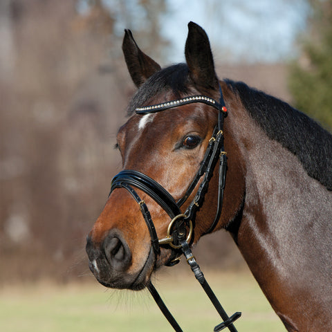 Kieffer Comfort Young Profi Snaffle Bridle