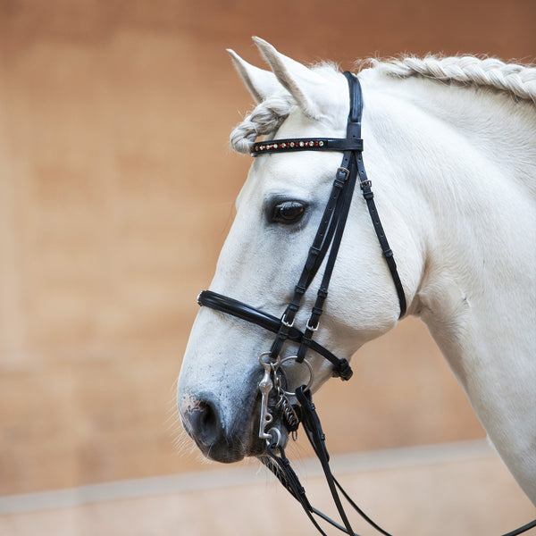 Виды уздечек для лошадей фото и название