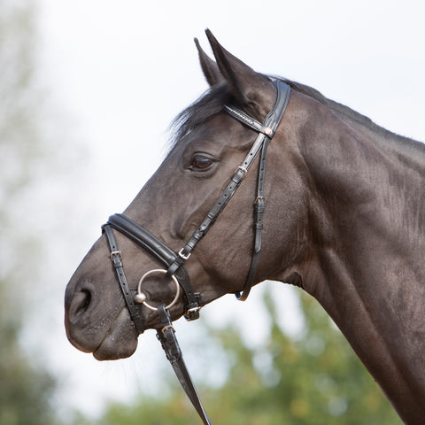 Kieffer Ultrasoft Snaffle Bridle