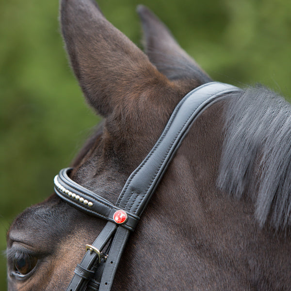 Kieffer Ultrasoft Snaffle Bridle