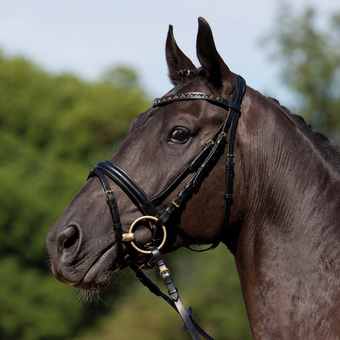 Kieffer Comfort Verona Snaffle Bridle