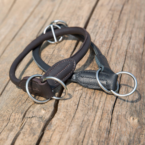 Kieffer Dressage Training Dog Collar