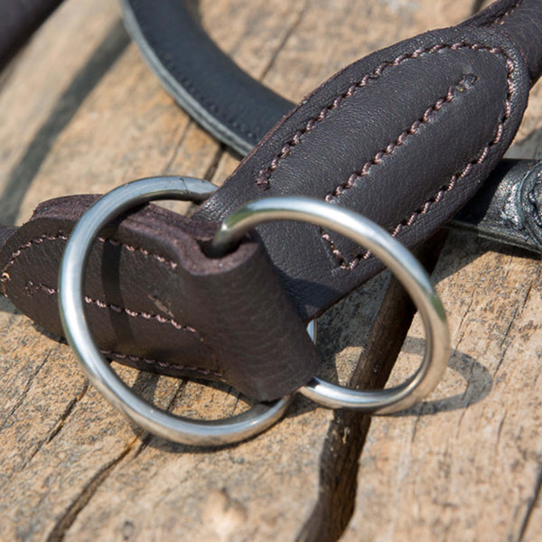 Kieffer Dressage Training Dog Collar