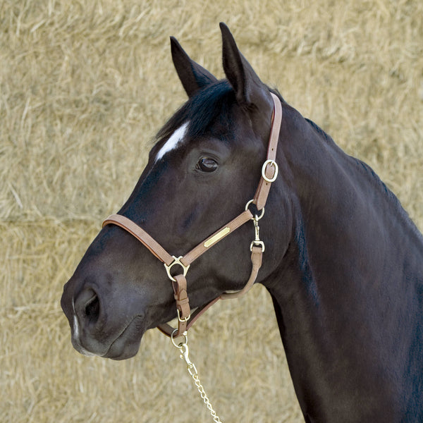 Kieffer High Tech Arktis ThermoSeat Cover