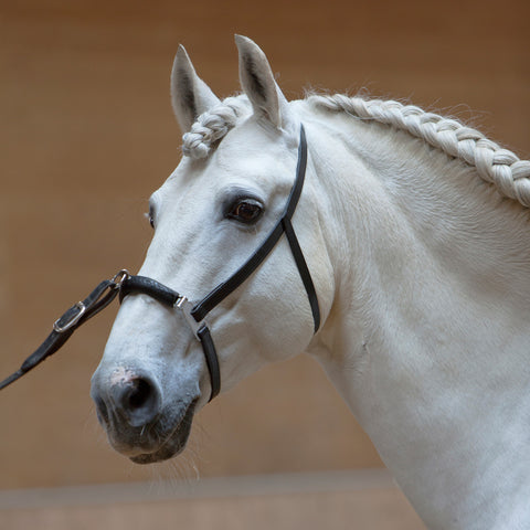 Kieffer Anja Beran Cavesson