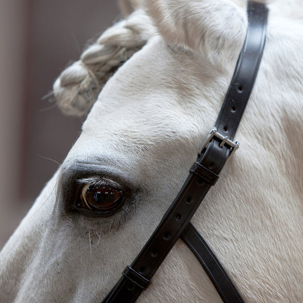 Kieffer Anja Beran Cavesson