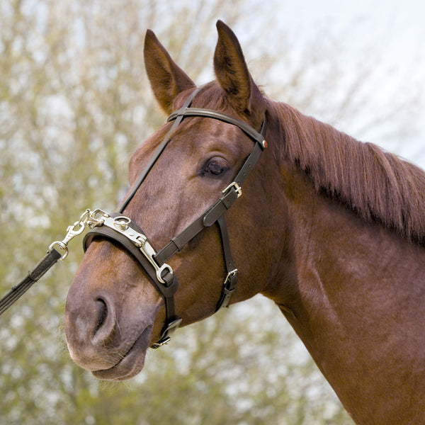 Kieffer Stunning Leather Cavesson