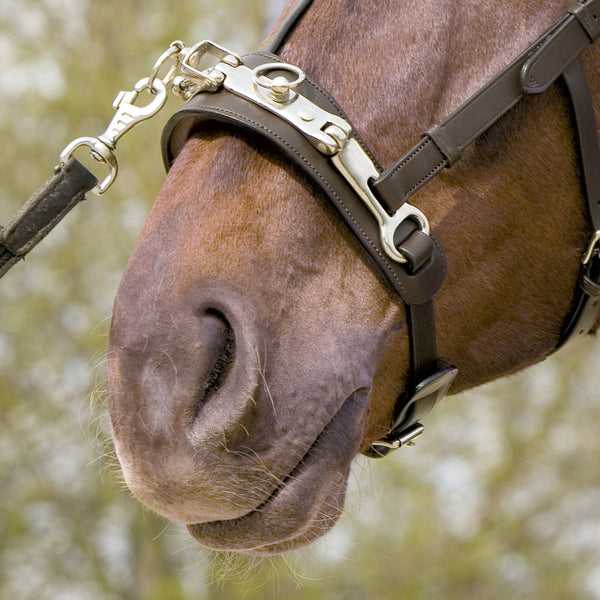 Kieffer Stunning Leather Cavesson