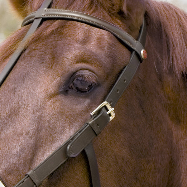 Kieffer Stunning Leather Cavesson