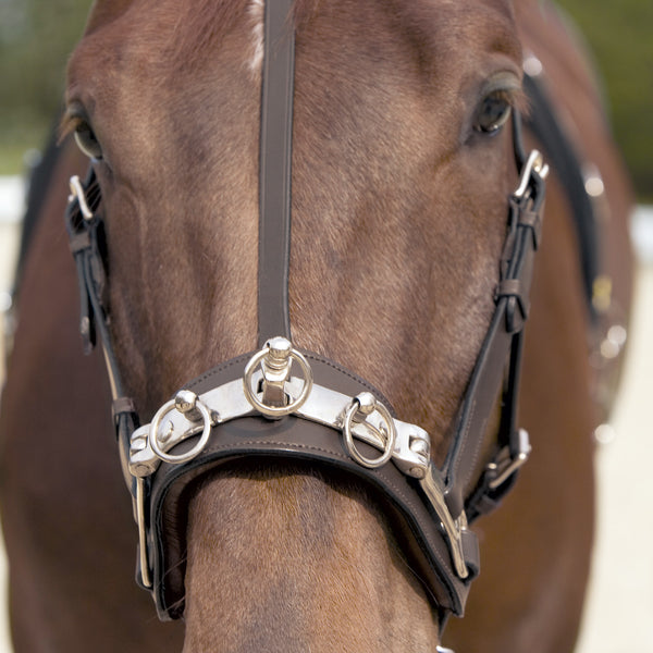 Kieffer Stunning Leather Cavesson