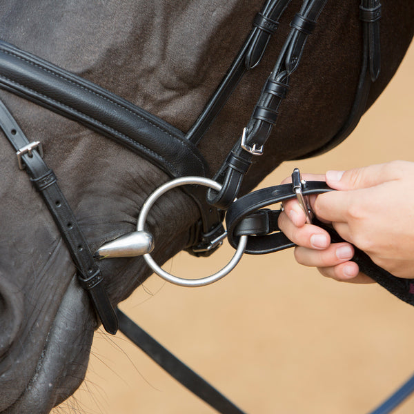 Kieffer Anja Beran Soft Lunging Lead