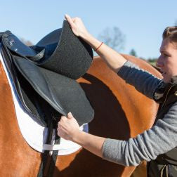 Kieffer Bavaria Dressage Saddle [From $81.33/month]