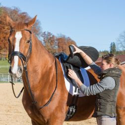Kieffer Bavaria Dressage Saddle [From $81.33/month]
